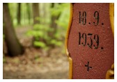 (8/17): 